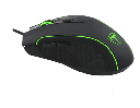 Mouse T-dagger Private T-tgm106