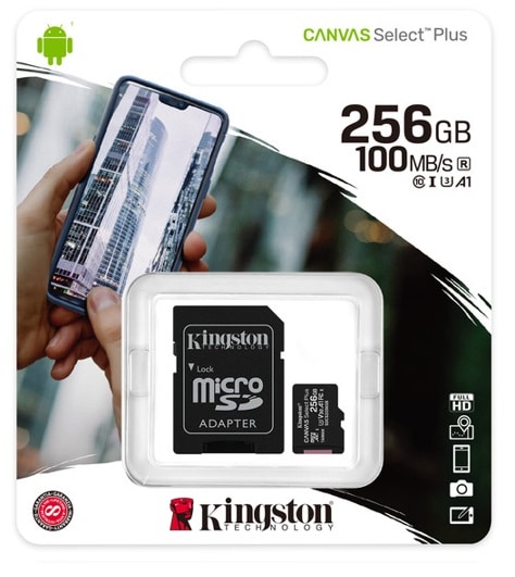 Micro                                                                                                                                                                                               Sd Kingston Technology Memkgn1910 - 256 Gb, Negro