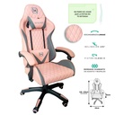 Silla                                                                                                                                                           Gamer Inclinacion Respaldo 145 Clase 4 140-150kg Ngs-01 Foam 350mm 63cm*64cm*121-131cm Cojin Lumbar Y Cabeza Rosa/gris -