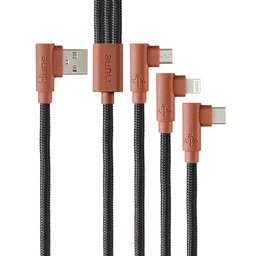 [CABHUN110] Usb                                                                                                                                                                                                                                                                                                  3 In 1 At-acc-ca-319 Hune/corteza -
