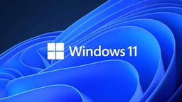 [7500619005210-M] Microsoft  Oem Windows 11 Pro 64 Bits EspaÑol (fqc-10553)