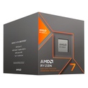 100 100001236BOX