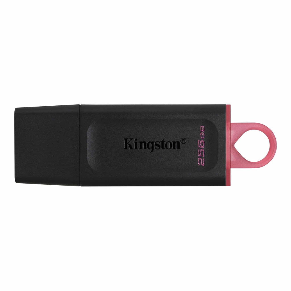 Memoria                                                                                                                                                                                                   Usb Kingston Technology Dtx/256gb - Negro, 256 Gb, Usb