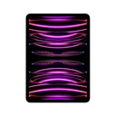 Ipad                                                                                                                                                                                                       Pro 11 Wifi + Cell 256gb Space Gray Mnye3lz/a -