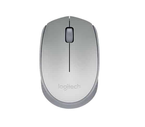 Mouse                                                                                                                                                                                                Logitech M170 - Plata, Usb