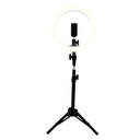 Aro                                                                                                                                                                                                                   De Luz Led Game Factor Lrg300 - Negro