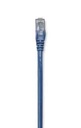 318129                                                                                                                                                                                                                                                                                                Cable Patch 0.5m Cat 5e Utp Azul -