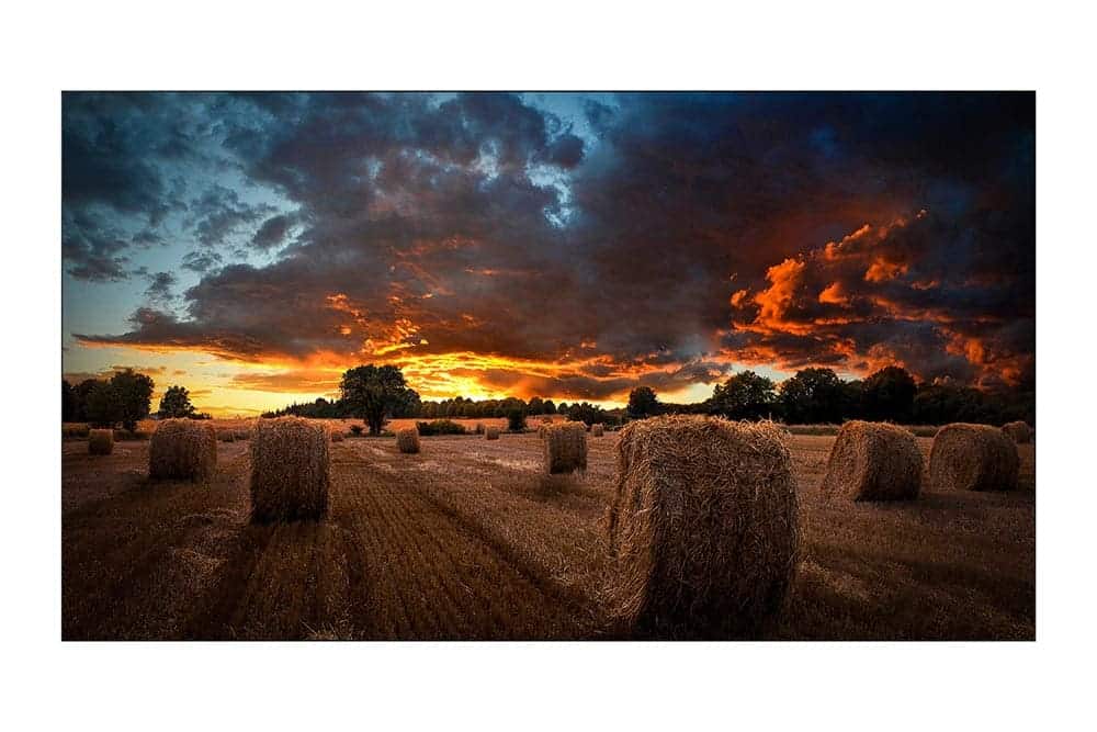 Video                                                                                                   Wall  Samsung Vm55b-u - 55 Pulgadas, 1920 X 1080 Pixeles, 8 Ms