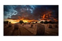 Video                                                                                                   Wall  Samsung Vm55b-u - 55 Pulgadas, 1920 X 1080 Pixeles, 8 Ms