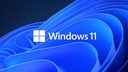 Microsoft Oem Windows 11 Pro 64 Bits EspaÑol (fqc-10553) (pue)
