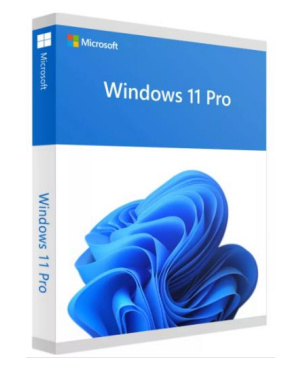 Microsoft Oem Windows 11 Pro 64 Bits EspaÑol (fqc-10553)