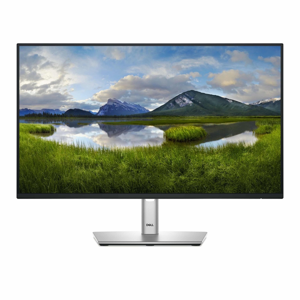 Monitor Dell P2425h 24" 1920x1080 Fhd Dp Hdmi Vga 100hz 210-bmgh