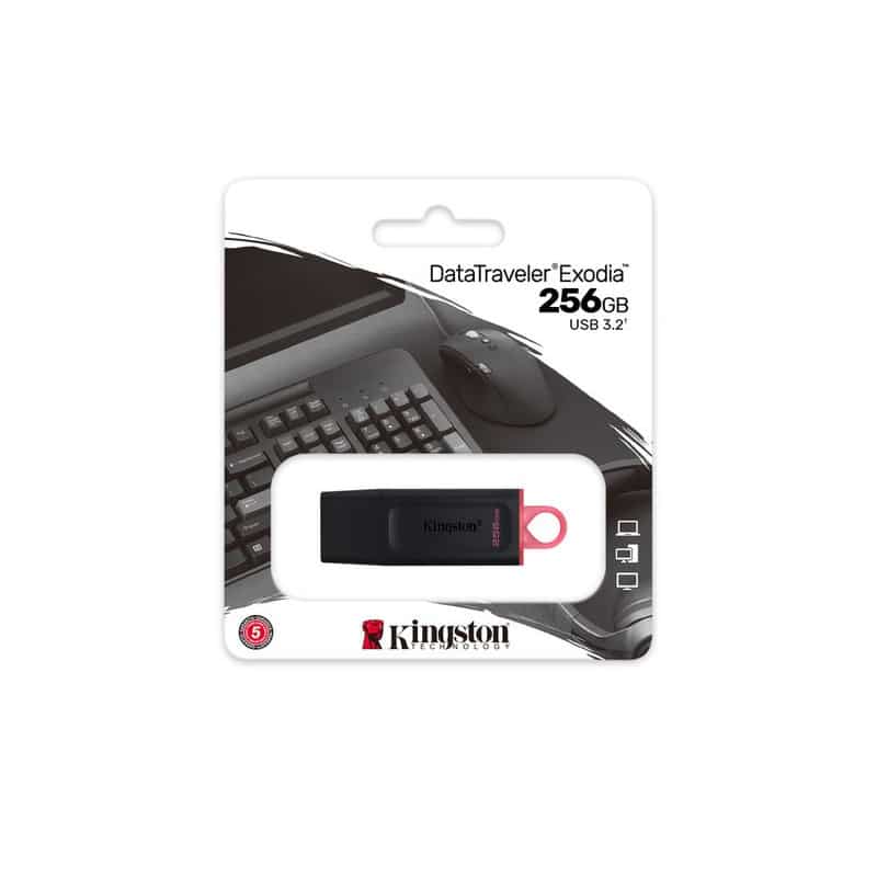 Memoria Flash Kingston 256 Gb Usb 3.2 Gen 1 (dtx/256gb)