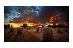 [LFDSMG1120] Video                                                                                                   Wall  Samsung Vm55b-u - 55 Pulgadas, 1920 X 1080 Pixeles, 8 Ms