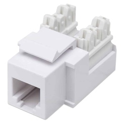 [766623210843-I] Jack  De Impacto Para Telefonia Rj11/rj12 Intellinet Blanco 210843